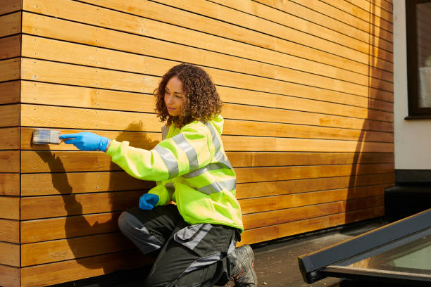 Best Siding Painting and Refinishing  in Clever, MO